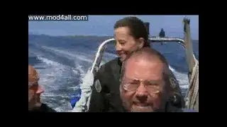 Sharks Great Whites In Great Britain WS PDTV XviD