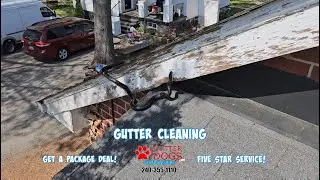 Gutter Cleaning in Prince George's County MD | Trusted Local Gutter Cleaners &ndash; Gutterdogs