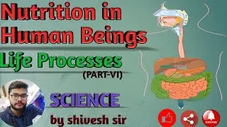 Nutrition in Human Beings | Life Processes(PART-VI) | Biology | Science | Class-X