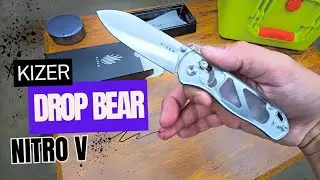 Checking out the Kizer Drop Bear (Nitro V)