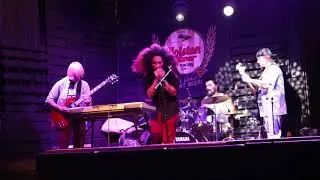 HipGypsy - Golden Rule  - Live Video
