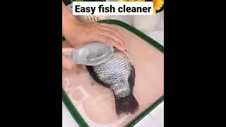 fish cleaning smart gadgets 😎home and kitchen gadgets#shorts#affiliate_cool_gadgets