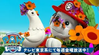 パウ・パトロール | パウ・パトロールのベストフレンド スカイ、マーシャル＆チェイスと一緒 | テレビ東京系にて放送中