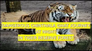 Dangerous Ghat journey at night in Tiger Reserve Forest@JVEdVlog