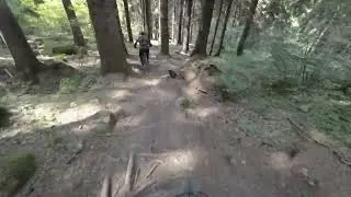 Val di sole bike land - trail La preda + trail Folgarida