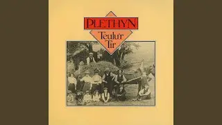 Teulu'r Tir