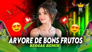 Reggae Gospel ◾ Pregador Luo - Árvore de Bons Frutos 🔴🟡🟢▶️ (REGGAE REMIX)