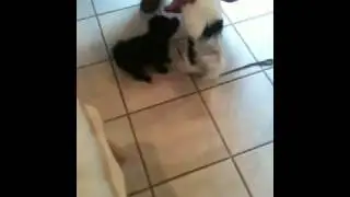 Polly and her pal Cami 1
