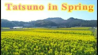 Highlights of Tatsuno city &ldquo;Spring&rdquo;