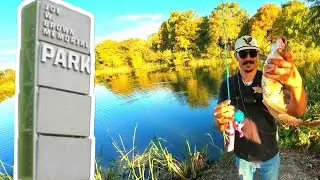 LDWF Stocked 1,000 lbs of Catfish at Joe Brown Park