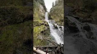 What you&rsquo;ll see on the Caines Head hike- (2023) #seward #alaska #sealife #bored #hiking