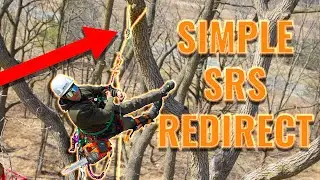 Tree Climbing Tips: Simple SRS/SRT Redirect