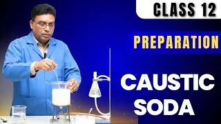Preparation of Caustic Soda | Chemistry Class 12 Chapter 1 | Representative Elements