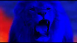 LEONES AZULES