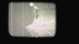 Glenville State College vs  W V Tech Football 1973
