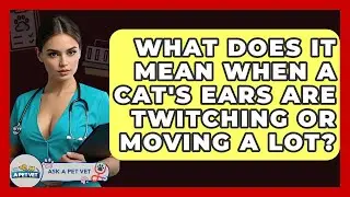 What Does It Mean When A Cat's Ears Are Twitching Or Moving A Lot? - Ask A Pet Vet