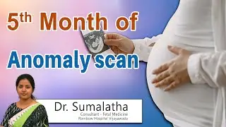 Hi9 | 5th Month of Anomaly scan | Dr Sumalatha, Fetal Medicine