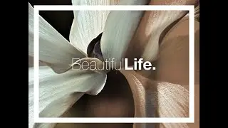 HIPHOP MASTER 金 -KIM- - Beautiful Life [ HYBRID BOOMAP JERSEY HOUSE ] ♫ PABAT! 2017 ♫