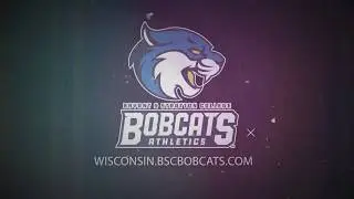 Bryant & Stratton  Lady Bobcats vs Kishwaukee highlights