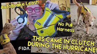 My favorite?!🐕 FIDA AutoBrake Leash & No Pull Harness review✨️