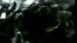 Original Budweiser Frogs Commercial