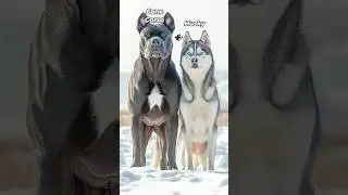 The Insane World of Dog Fusion Hybrids #shorts #dogs #hybrids