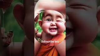 so cute little monk status ❤❤❤🔥🔥🔥🔥❤❤❤#monkvideo #newstatus #baby #trendingshorts #viralvideo #cute