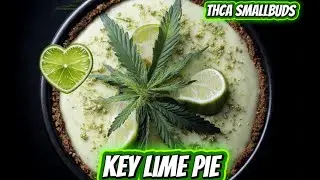 THCA SmallBuds Keylime Pie 🍋&zwj;🟩 