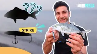 LIGHT JIGGING: Caranghi a volont&agrave; con i MICRO JIG e una Nuova specie sul finale 🐟🎣