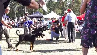 IDC 2018 - FINALS