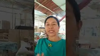 Colesterol Bueno HDL.