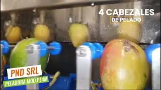 PND Srl: Peladora de mango Mod. PL4M