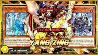 INSANE 11 WINSTREAK YANG ZING DECK / NEW YUSEI CLEAR MIND!? [Duel Links]