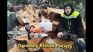 Ogromny Klocek Pocięty Na Plastry/ STHIL MS261 Spisał Się Na Medal
