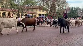 Stockyard Cattle Run
