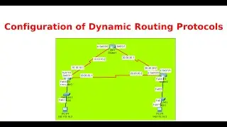 Dynamic Routing Configuration in Packet Tracer | Dynamic Routing Bangla