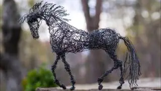 Animal Sculptures from Wire Slideshow