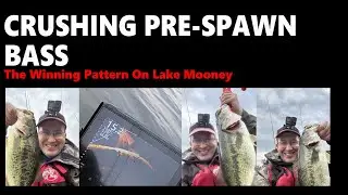 Lake Mooney Bass are Crushing this Spring Pattern