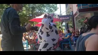 Solomon's Brunch group number 7/3 - Mercury Rising, Apple Adams, Mae Heffiman, Tilly Creams