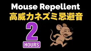 ネズミ忌避音（ネズミ撃退音）Mouse Repellent　２時間【１６ｋHz&rarr;１８ｋＨｚ&rarr;２０ｋＨｚ】