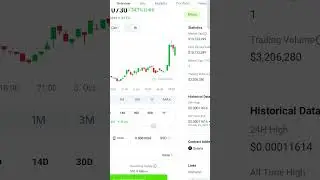 Pandus Panda Coin Skyrocketing buy buy buy Before it's too late