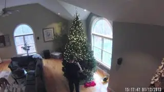 Christmas Tree Timelapse 2013