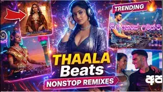 Top EDM Mashup 2025 🔥 | Non-Stop DJ Remix | Thaala Beats