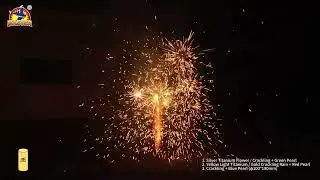 70g Cylindrical Fountain For Outdoor Wedding Party#fireworks #fyp #fireworkstesting