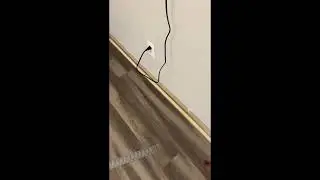 ￼From Carpet to Laminate Floor Part 2
