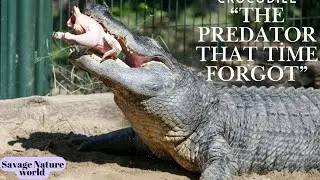 Crocodiles: Silent Hunters of 200 Million Years | Nature&rsquo;s Deadliest Predator #predator