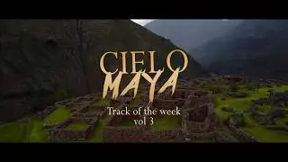 Track of the Week III || LEXA HILL || 