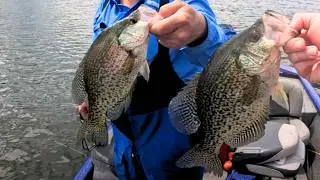 Crappie and White Perch Fishing in North Carolina | Badin Lake Summer Slabs!