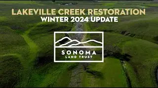 Lakeville Creek Restoration | Winter 2024 Update