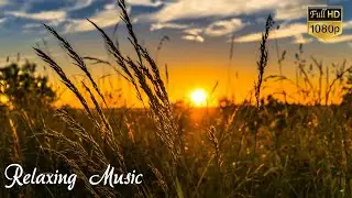 Relaxing Music 24/7, Peaceful Music, Sleep Music, Spa, Meditation Music, Study, Sleeping